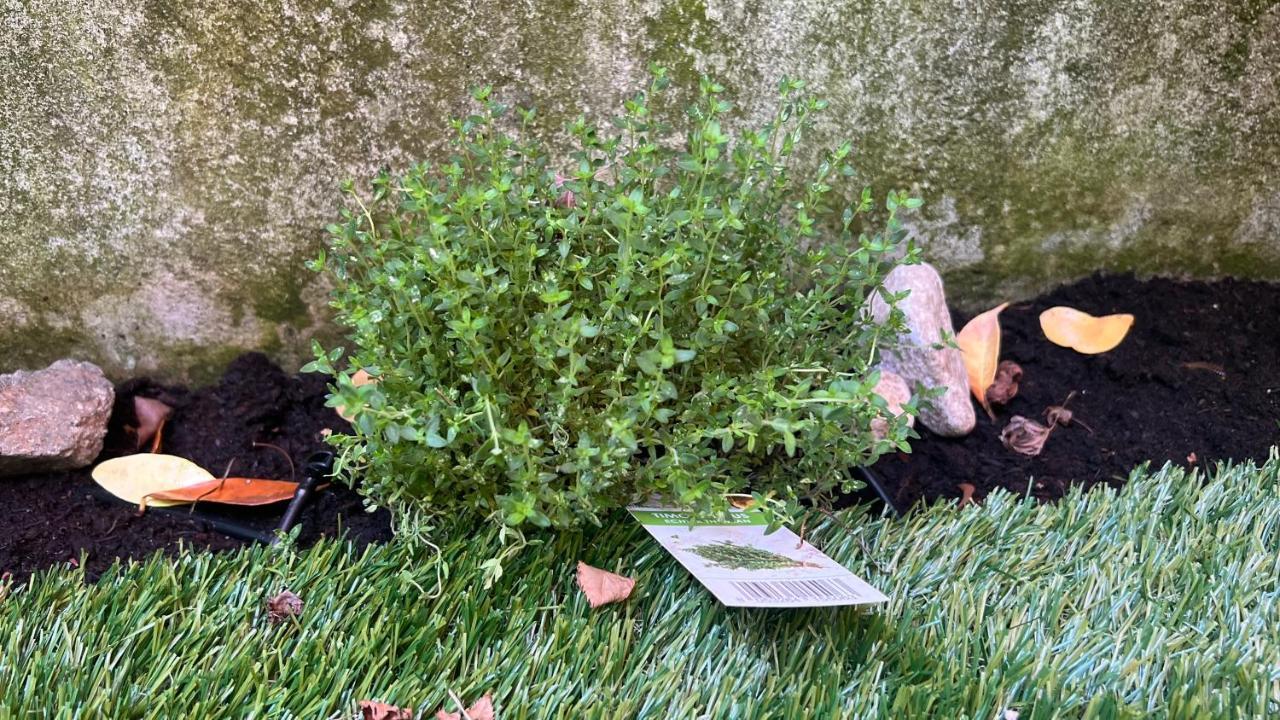 Garden Suite Bolzano Ngoại thất bức ảnh
