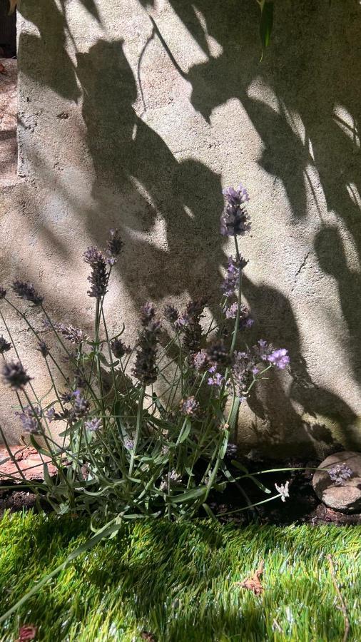 Garden Suite Bolzano Ngoại thất bức ảnh