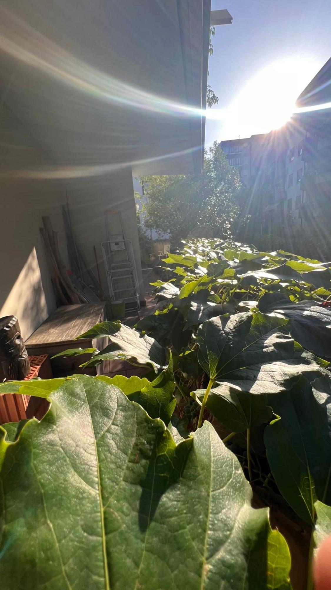 Garden Suite Bolzano Ngoại thất bức ảnh