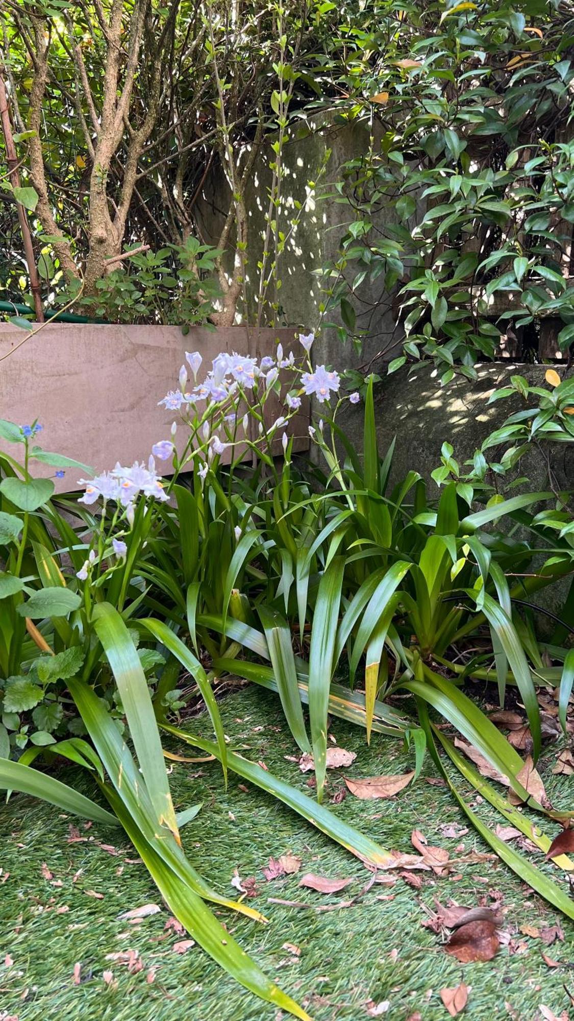 Garden Suite Bolzano Ngoại thất bức ảnh