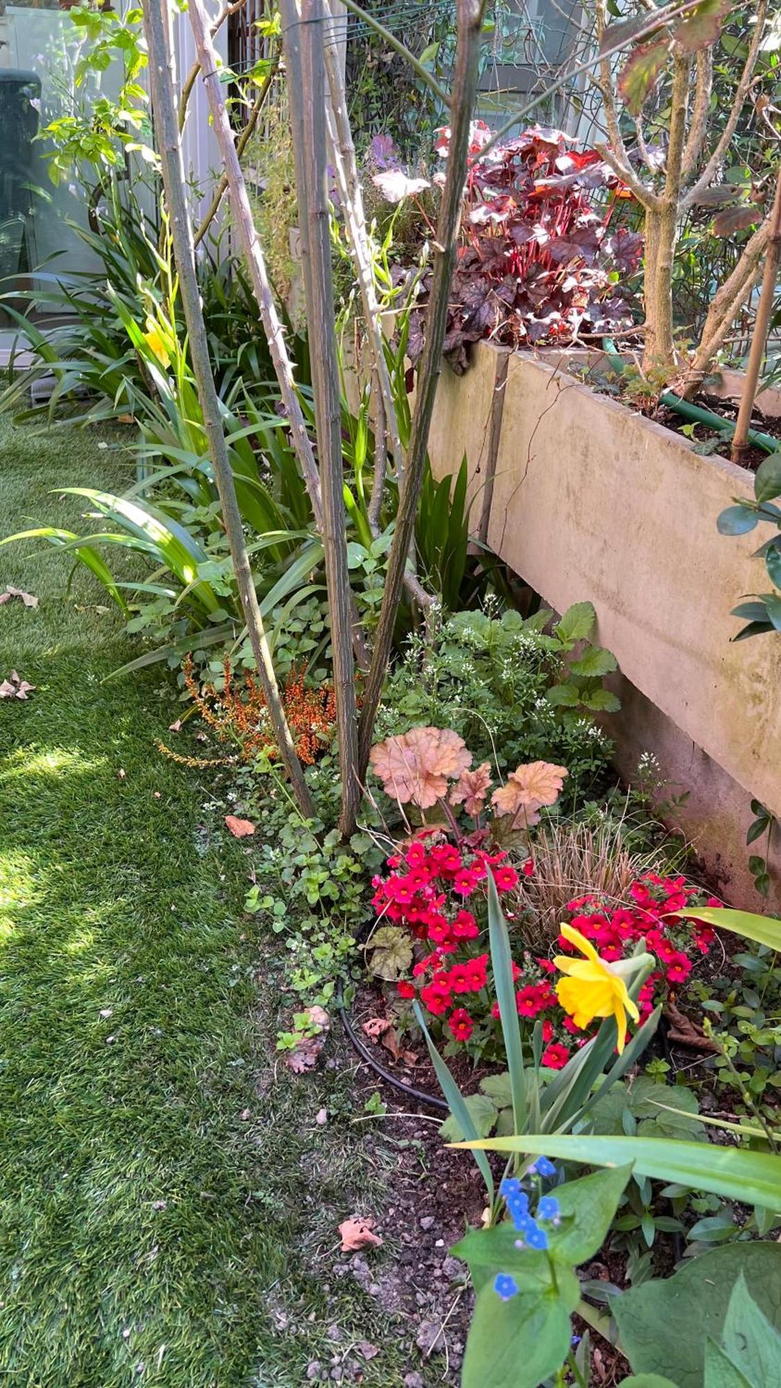 Garden Suite Bolzano Ngoại thất bức ảnh