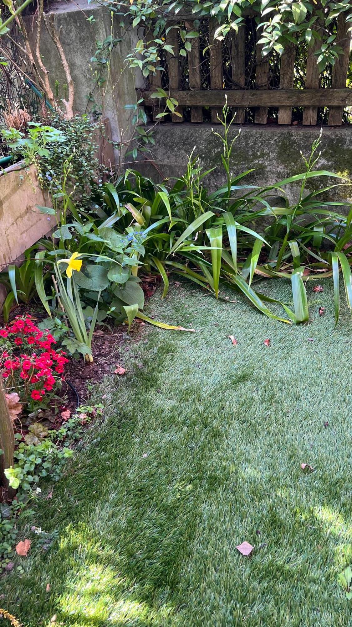 Garden Suite Bolzano Ngoại thất bức ảnh